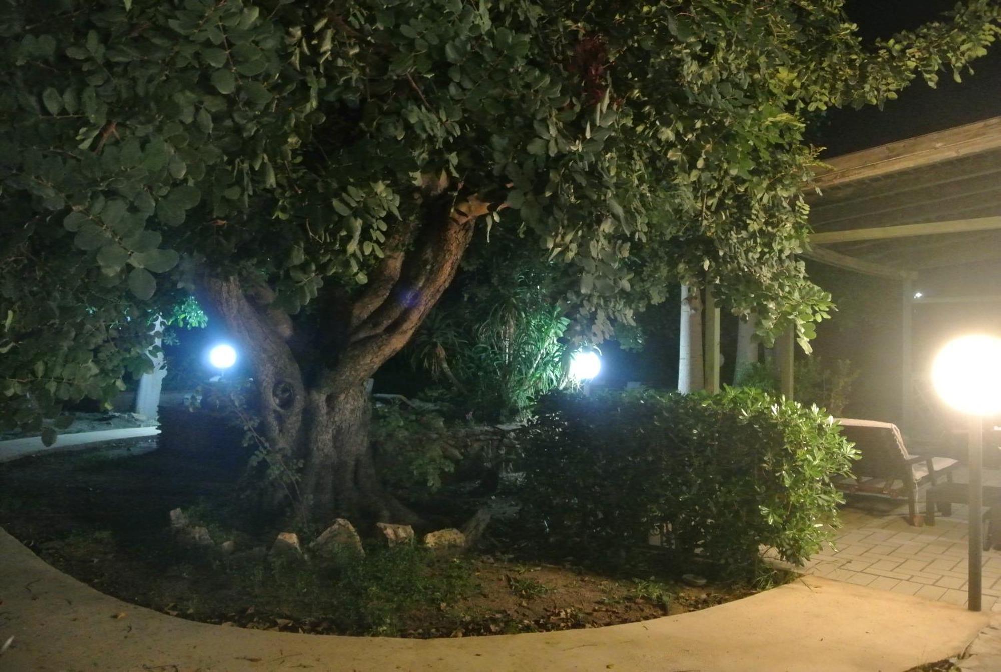 Villa Carlotta Resort San Leone Bagian luar foto